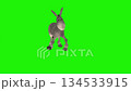 Animation of a dancing donkey  on a green screen. 134533915