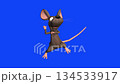 grey mouse dances joyfully.  134533917