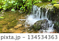 Crystal clear mountain brook flowing through moss covered stones creating peaceful water cascade in wilderness nature 134534363