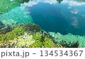 Calm spring lagoon with visible abyss and sunlit algae 134534367