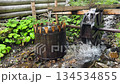 Handcrafted water power apparatus operating in steady current with wooden cogs barrels and stream managed by simple gravity 134534855