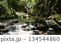 Yoshiro Falls (Kitaibaraki City) in Ibaraki 134544860