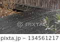 降りはじめた雪 134561217