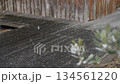 降りはじめた雪 134561220
