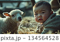 日差しの下赤ちゃんと子羊の心温まる友情 134564528