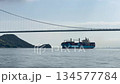 来島海峡を西航するコンテナ船 134577784