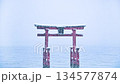 滋賀白須神社：湖中巨大的鳥居上仍飄著雪（已修復） 134577874