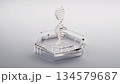 Biology DNA on futuristic hexagon stage, 3d rendering. 134579687