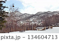 Hokkaido scenery: Winter scenery of Mt. Moiwa seen from Asahiyama Memorial Park, Sapporo 134604713