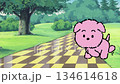 ピンクの子犬の散歩 134614618