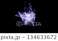 藍色叢狀網路循環動畫 134633672