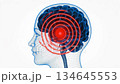 Wireframe Head with Brain Pain Red Signal Animation 134645553