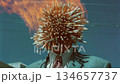 Man with fire head surrounded by matchsticks 134657737