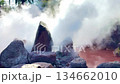 溫泉和蒸氣從地下湧出 134662010