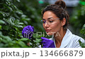 biologist examines plants in a research greenhouse, collecting samples for research. Footage about women scientists in the field of biology and plant breeding 134666879