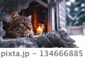 A kitten looks out the window at the falling snow, a lit candle on the windowsill nearby, cozy winter footage from Christmas Eve, a video greeting card with a Merry Christmas and a Happy New Year 134666885