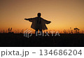 Child girl runs through grass sunset. Happy child enjoys nature, arms outstretched runs. Joyful childhood freedom, picnic in field nature. Joyful child runs sunset. Healthy lifestyle, outdoor vacation 134686204