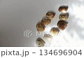 ネイルチップ 134696904
