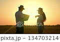 Businessmen shaking hands outdoors in sun. Teamwork man woman handshake. Farmers, man woman, shaking hands in field, silhouette. People Teamwork. Partners agreeing to deal shake hands in agreement. 134703214