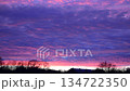 Vibrant Purple and Pink Cloudy Sunset Sky Over Quiet Suburban Horizon 134722350