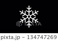 Snowflake animation on a black background 134747269