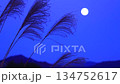 Full moon and silver grass night sky 134752617