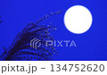 Full moon and silver grass night sky 134752620