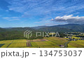 Autumn rural landscape, aerial photography, drone photography, autumn in Japan, nature, countryside, rural area 134753037