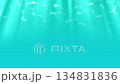 Underwater scene with light rays animated background. 134831836