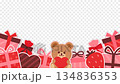 クマとプレゼントのバレンタイン透過背景アニメーション 134836353