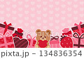 クマとプレゼントのバレンタイン背景アニメーション 134836354