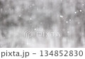 Falling snow tree in the background, soft slow motion 134852830