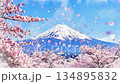 富士山（春天） 134895832