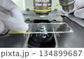Preparation process for testing by placing a yellow glass slide on the microscope stage (Japanese flag composition) 134899687