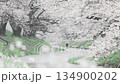 [Cherry Blossoms of the Madara River] A tourist attraction in Tsuruoka City, Yamagata Prefecture 134900202