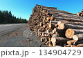 Large stack of freshly cut timber logs at a logging site 134904729