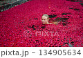 Woman swims in an exotic spa pool filled with flower petals in spa complex 134905634