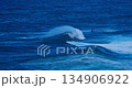Dynamic Ocean Wave Crashing in the Deep Blue Sea with Water Spray 134906922
