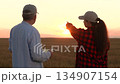 agricultural deal sealed with a handshake, grainfield partnership under a pastel sunset, trust in the field: farmers shaking hands, woman shows man farmer tablet while walking wheat field together 134907154
