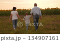 Family mother father man woman parent walking through field with child sunflowers at sunset, Happy family time girl child outdoors, Parents holding hands with child, Sunset walk in countryside in 134907161