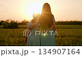 Happy family, mother child hugging asunset, girl hugging parents woman sunset, people outdoors nature, sunset field embrace, warm evening light, backlit summer meadow, golden hour glow, two girls 134907164