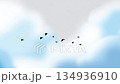 Silhouette of a flock of flying birds against a background of blue sky and white clouds 134936910