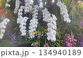 Flower garden outdoor on summer 134940189