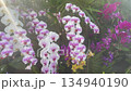 Flower garden outdoor on summer 134940190