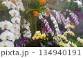 Flower garden outdoor on summer 134940191