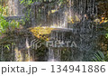Waterfall in the garden, stock video 134941886