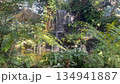 Waterfall in the garden, stock video 134941887