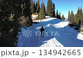 Aerial view of a man walking alone on a snowy path in a mountain forest on a sunny winter day. Concept of exploration and solitude 134942665