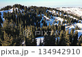 Aerial view of snowy mountain forest on a sunny day 134942910