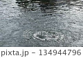 波紋を描く水面のクローズアップ｜抽象的な背景動画 134944796